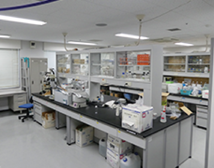 九州大学大学院農学研究院生命機能科学部門システム生命学講座細胞制御工学分野細胞制御工学教室の写真