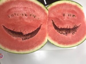 冷蔵庫を開けると・・・