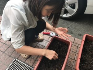 久しぶりに種まきをしました♪