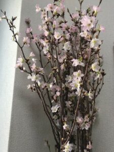 春ももう少し・・・★