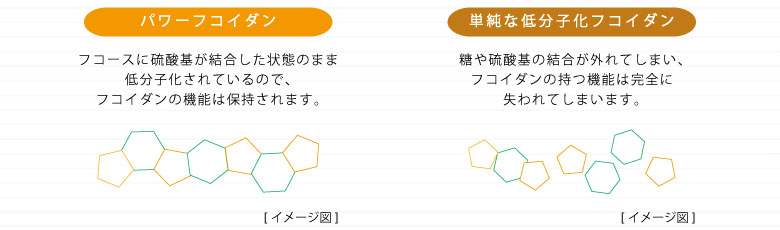 低分子化のイメージ