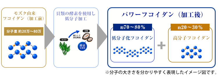 低分子と高分子の混合物のイメージ図
