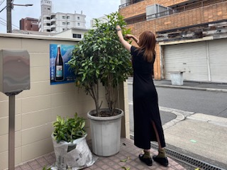 剪定中の宮田