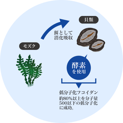 健康づくりの強い味方 パワーフコイダン | フコイダン通販のパワーフコイダンコム